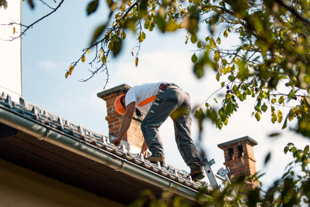 Roof Insulation Installation